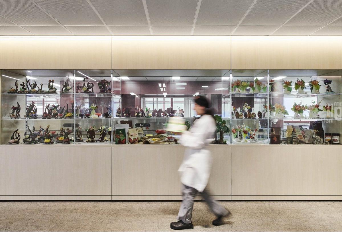 ����William Angliss����ѧԺ��רҵ����ռ�ĸ��϶�Ԫ���