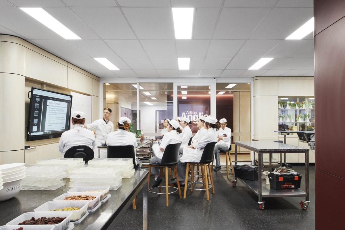����William Angliss����ѧԺ��רҵ����ռ�ĸ��϶�Ԫ���